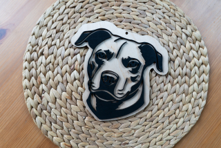Pitbull